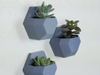 Wall Planter