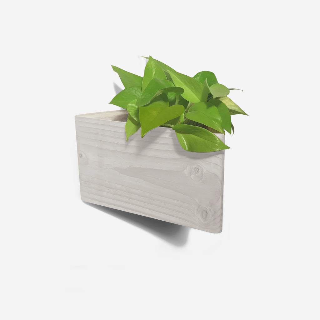 Wall Planter