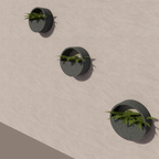 Wall Planter